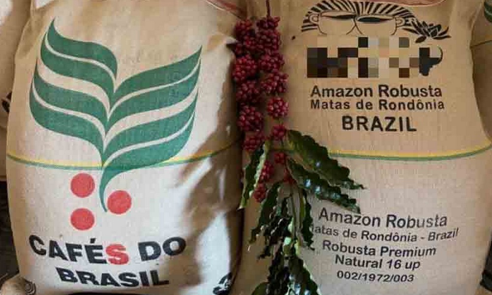 Preço médio da saca do café robusta chega a R$ 725 em Rondônia – REDE ...